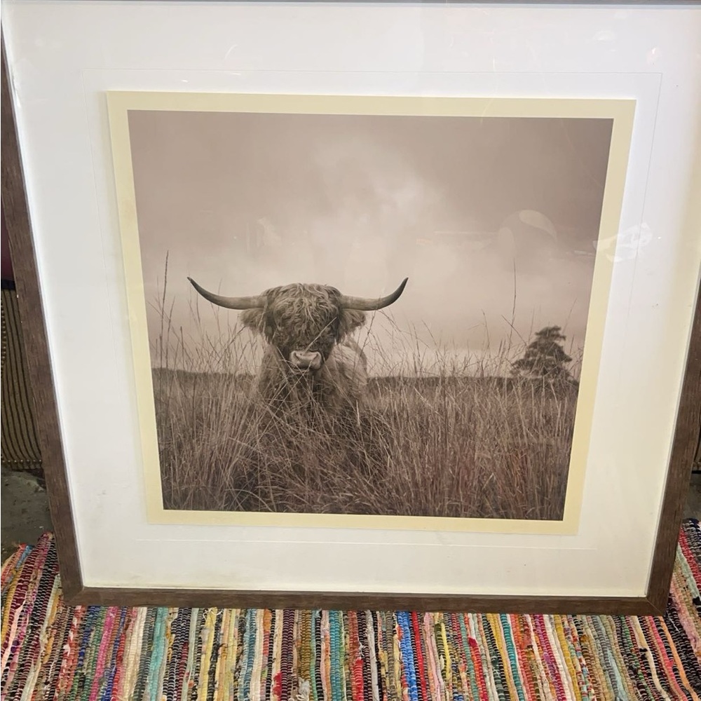 It Wasn't Me Framed Art Print kirklands Highland Cow farm picture.